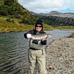 Pink salmon show up in Huge numbers