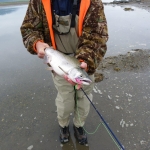 Ocean-fresh pink salmon