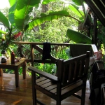 Open air hut surrounded by rain forest
