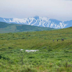 Alaska Wilderness OUTPOST