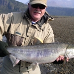 Alaska Chum Salmon Fly Fishing