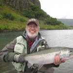Silver Salmon in lower river