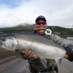 Big Alaska Peninsula Silver Salmon