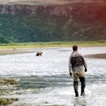 Teenage Alaska Peninsula Brown Bear