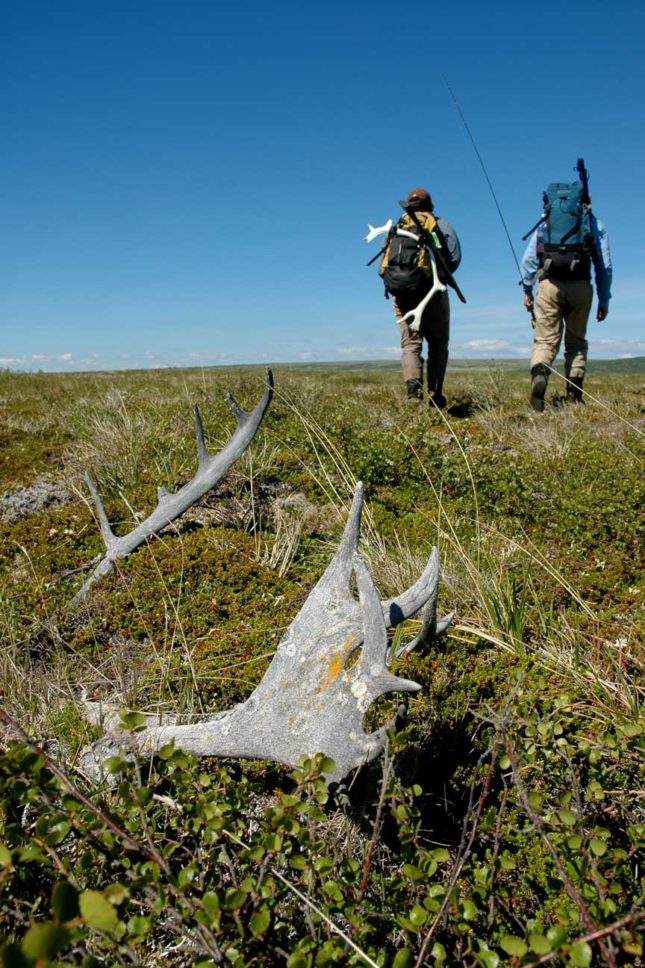 Remote Alaska Fly Fishing Trip Alaska Fly Fishing Trips