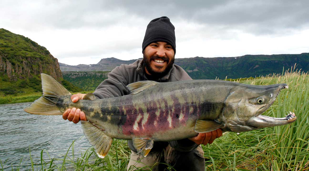 Seven Species Series: Chum Salmon - Alaska Fly Fishing Trips
