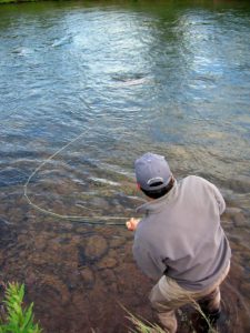 Fly Fishing for Large King Salmon